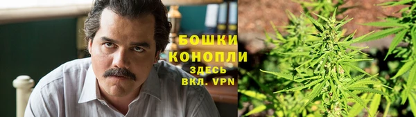 гашик Зерноград