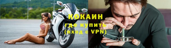 гашик Зерноград