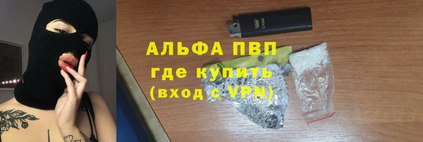 гашик Зерноград