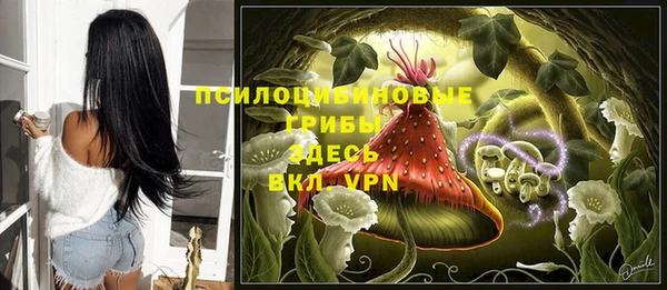 гашик Зерноград