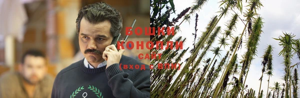 гашик Зерноград