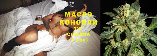 гашик Зерноград