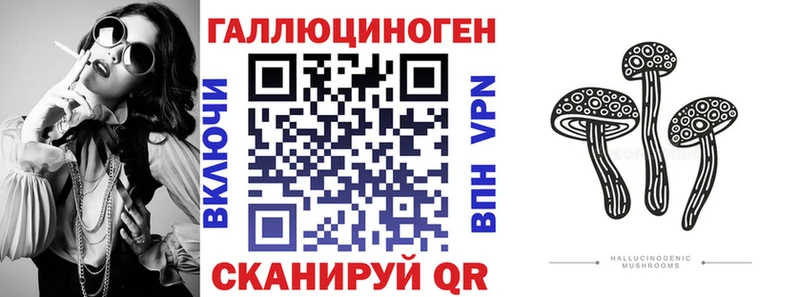 Галлюциногенные грибы Psilocybine cubensis  Купить закладки  Кашин 